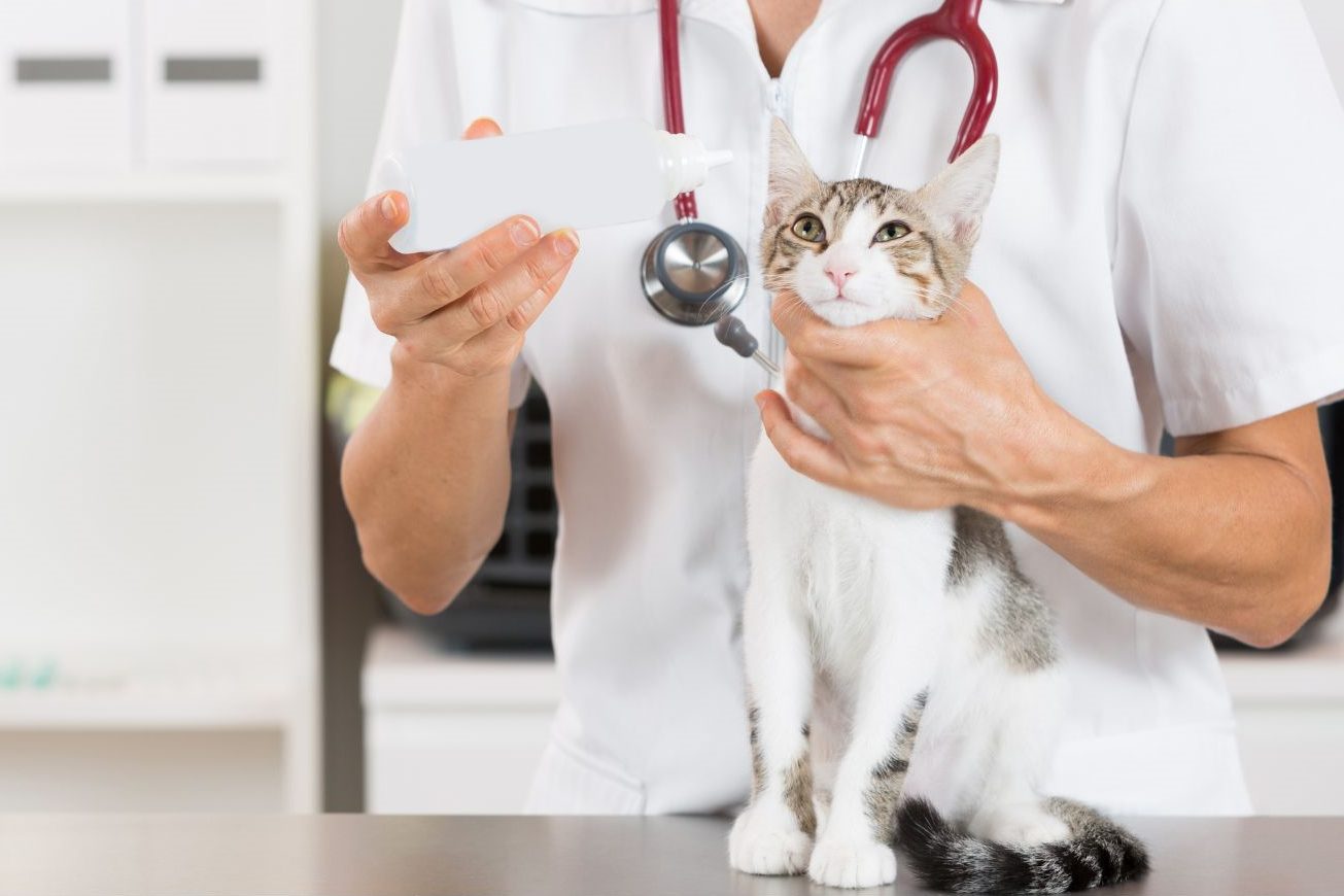 Veterinární klinika OK-VET Veterinární klinika OK-VET